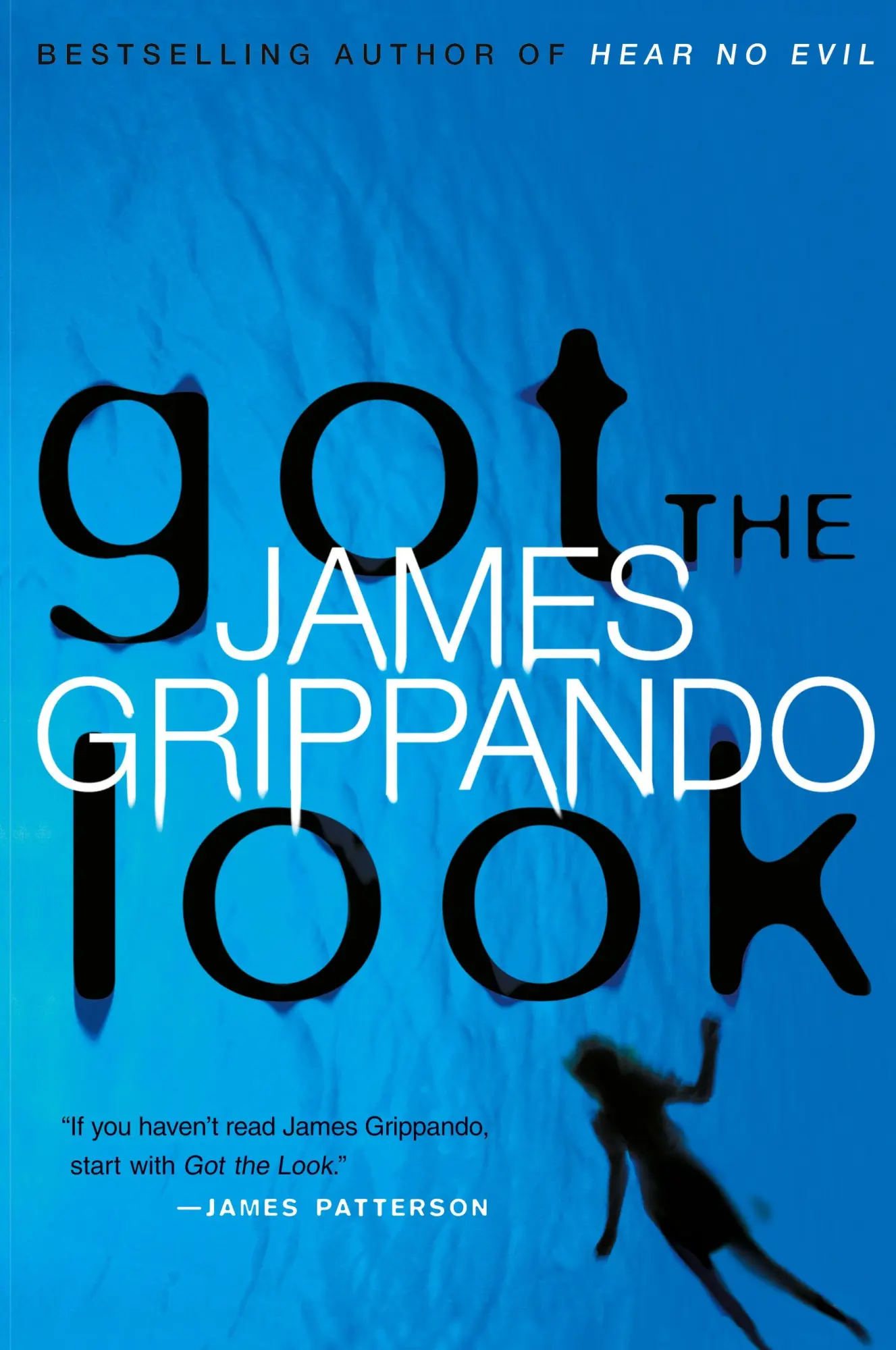 Cover: 9780060878931 | Got the Look | James Grippando | Taschenbuch | Englisch | 2006
