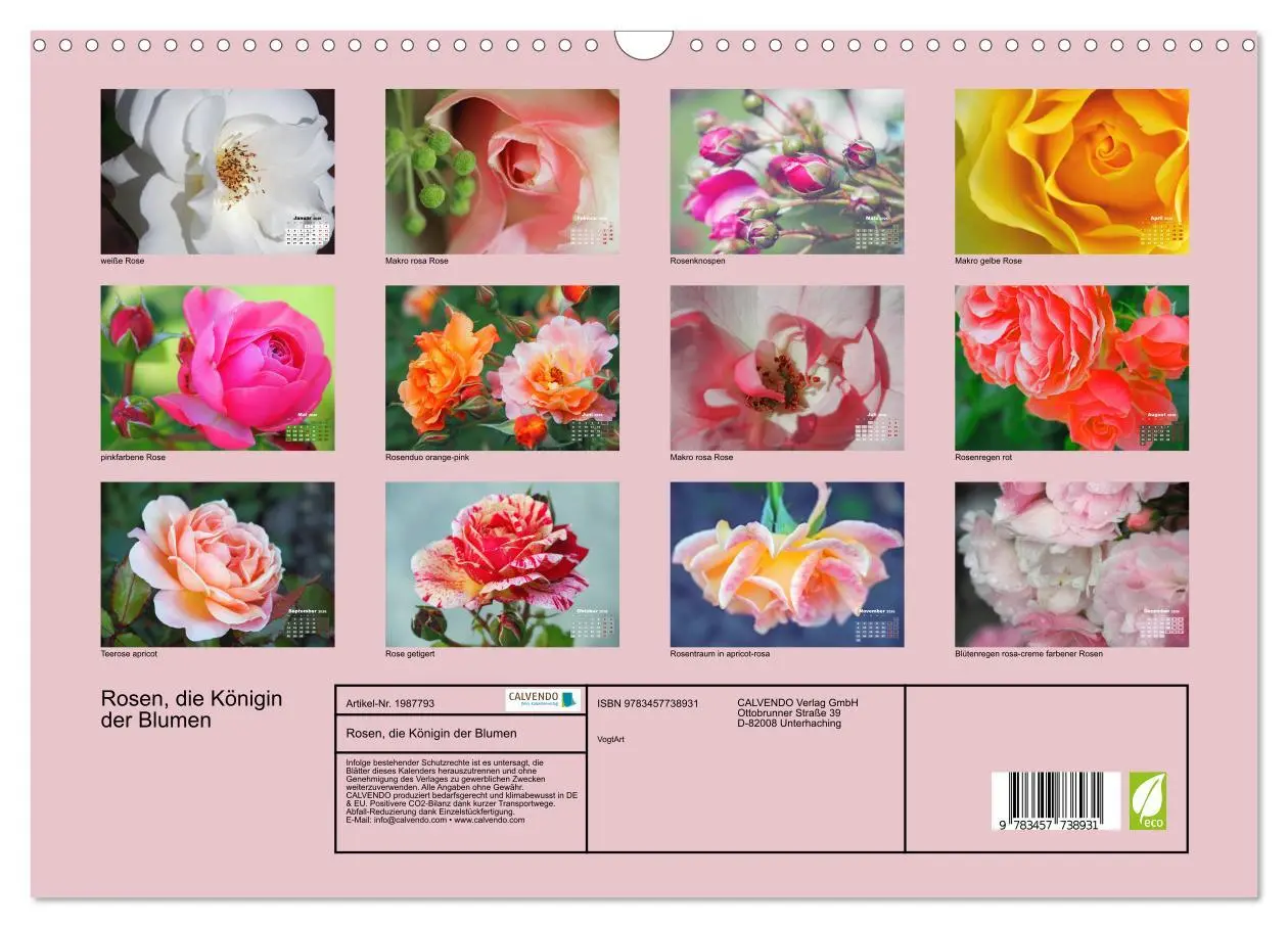 Bild: 9783457738931 | Rosen, die Königin der Blumen (Wandkalender 2026 DIN A3 quer),...