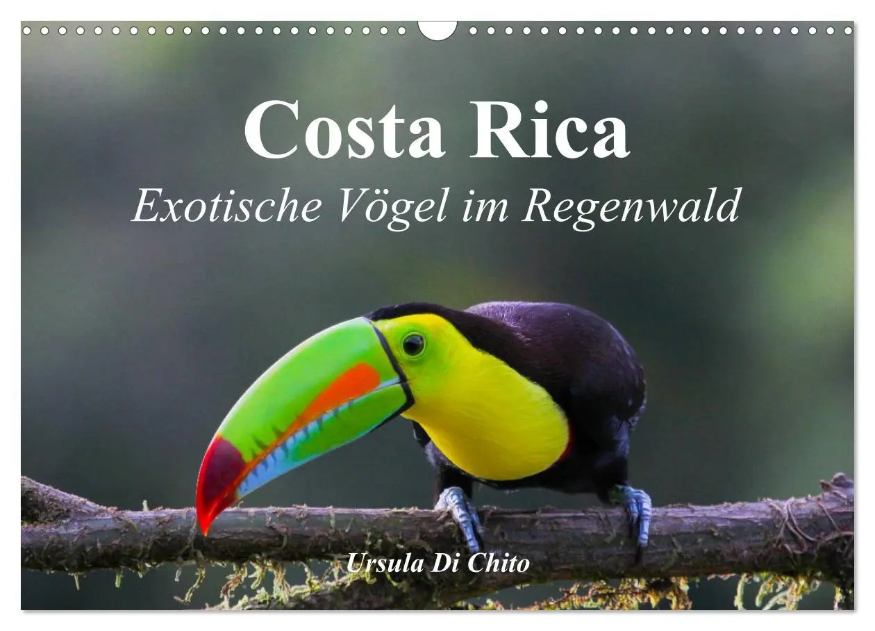 Cover: 9783516068931 | Costa Rica - Exotische Vögel im Regenwald (Wandkalender 2026 DIN A3...