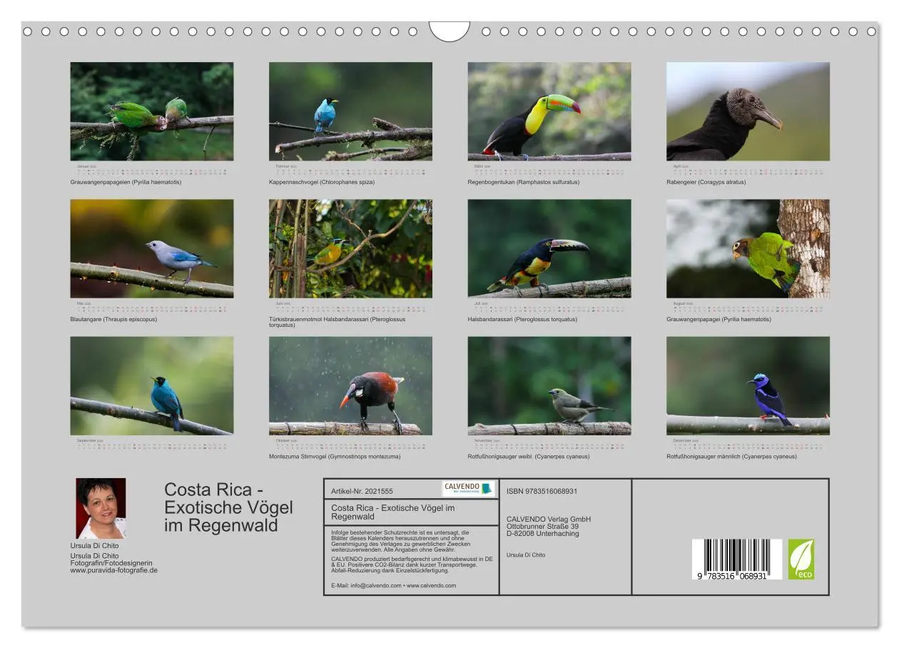 Bild: 9783516068931 | Costa Rica - Exotische Vögel im Regenwald (Wandkalender 2026 DIN A3...