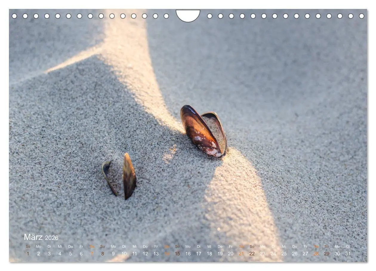 Bild: 9783457939031 | Flandern - Stadt und Strand (Wandkalender 2026 DIN A4 quer),...