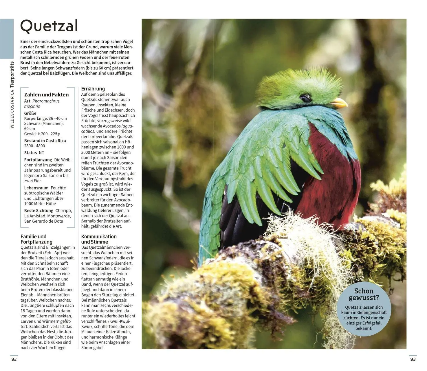Bild: 9783734209031 | Vis-à-Vis Reiseführer Costa Rica | DK Verlag - Reise | Taschenbuch