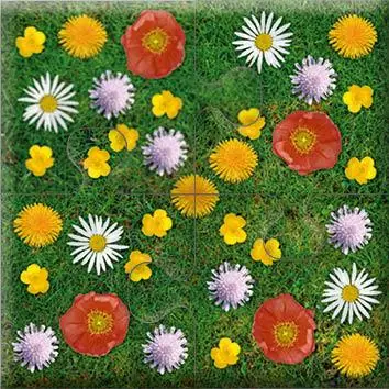 Bild: 4280000809131 | Das "Gelingt-immer"-Puzzle Wiesenblumen | SingLiesel Verlag | Spiel