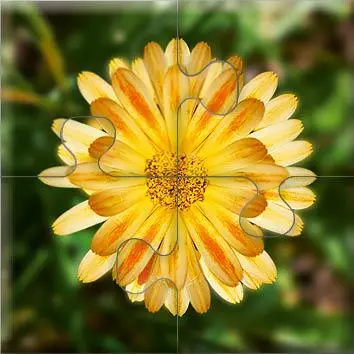 Bild: 4280000809131 | Das "Gelingt-immer"-Puzzle Wiesenblumen | SingLiesel Verlag | Spiel