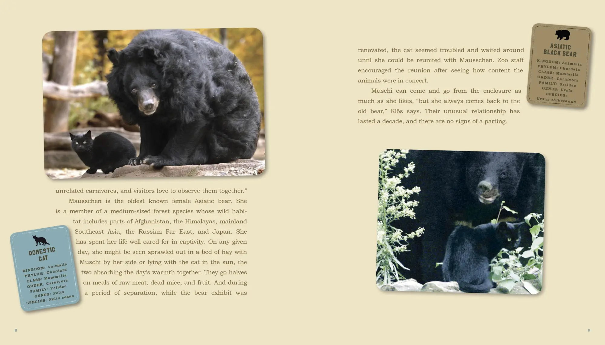 Bild: 9780761159131 | Unlikely Friendships | 47 Remarkable Stories from the Animal Kingdom