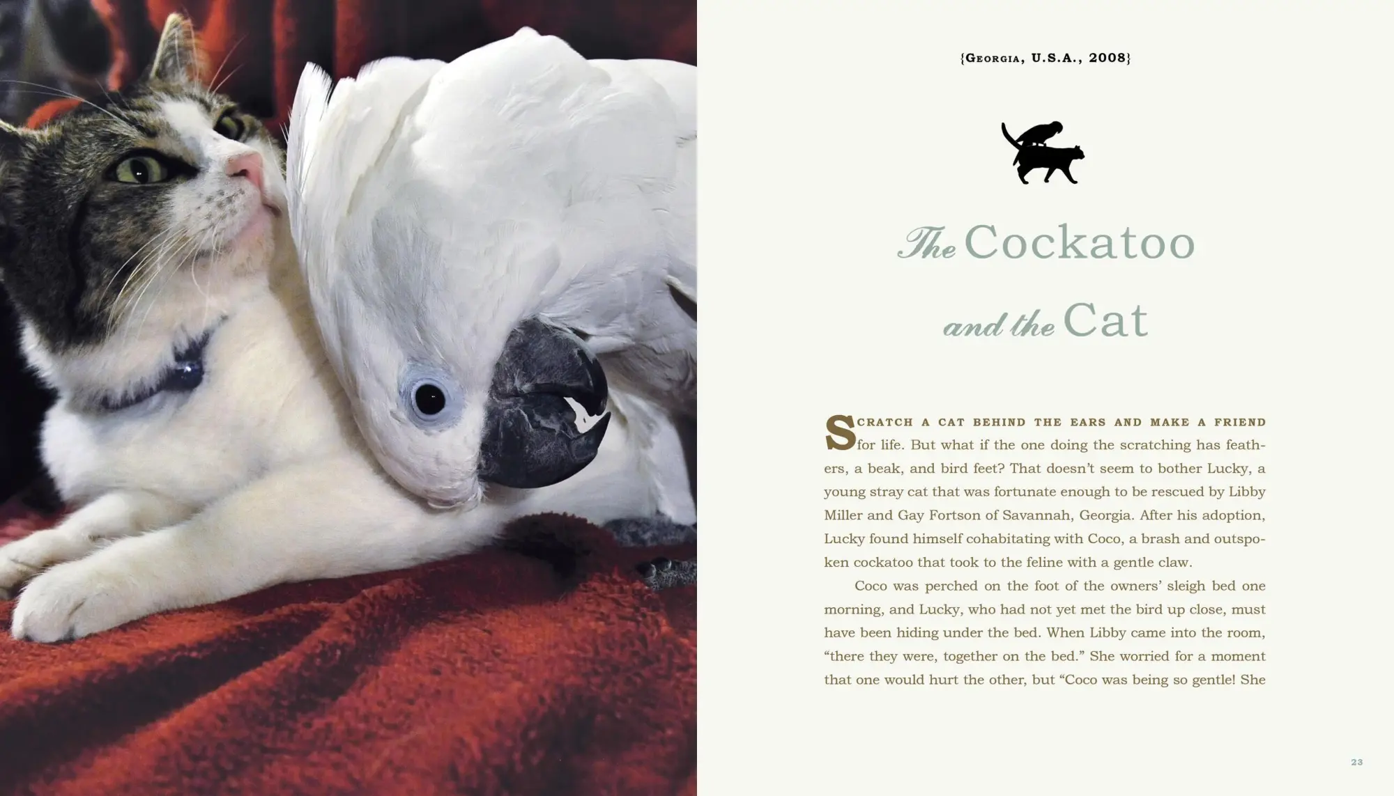Bild: 9780761159131 | Unlikely Friendships | 47 Remarkable Stories from the Animal Kingdom