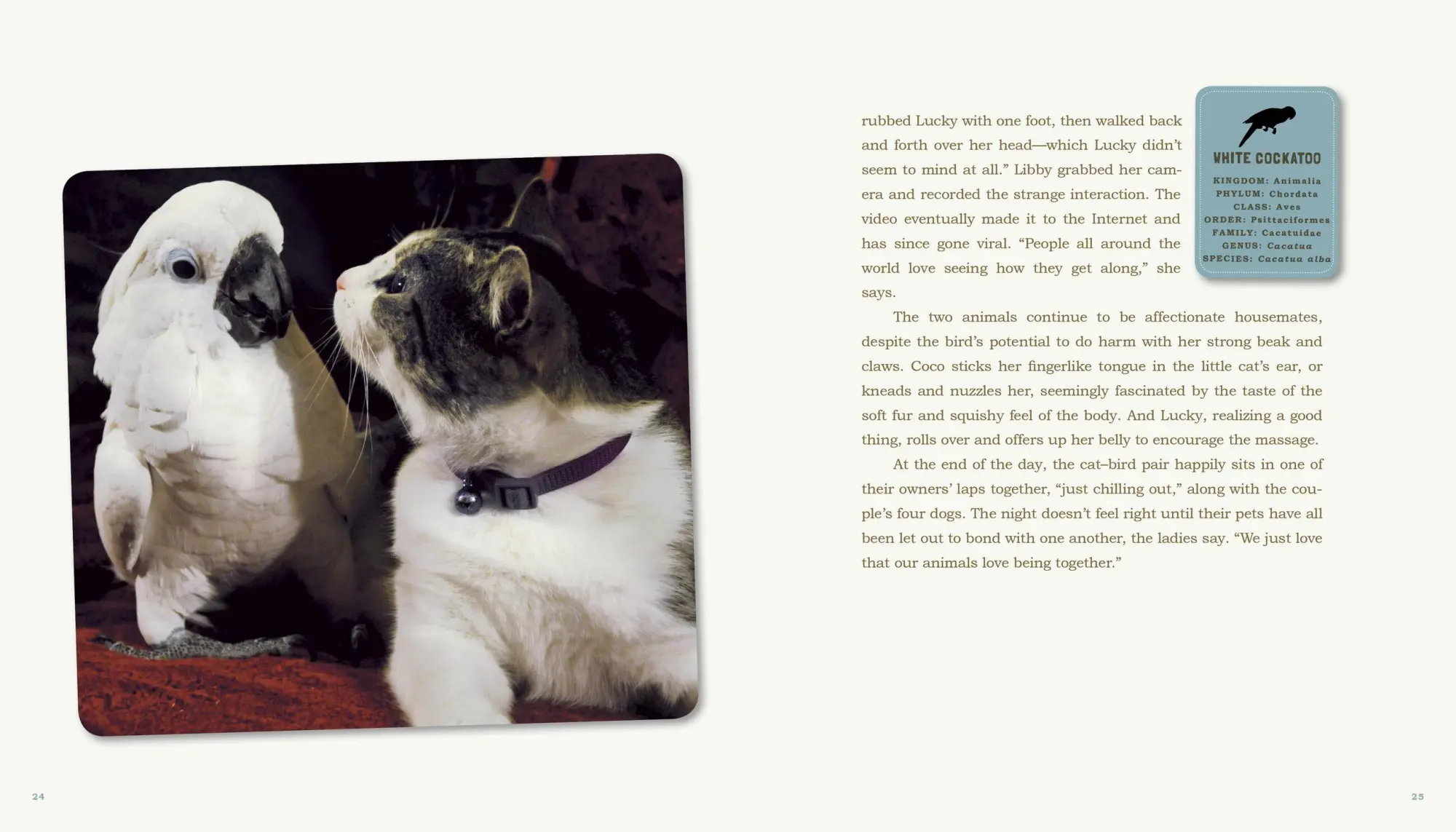 Bild: 9780761159131 | Unlikely Friendships | 47 Remarkable Stories from the Animal Kingdom