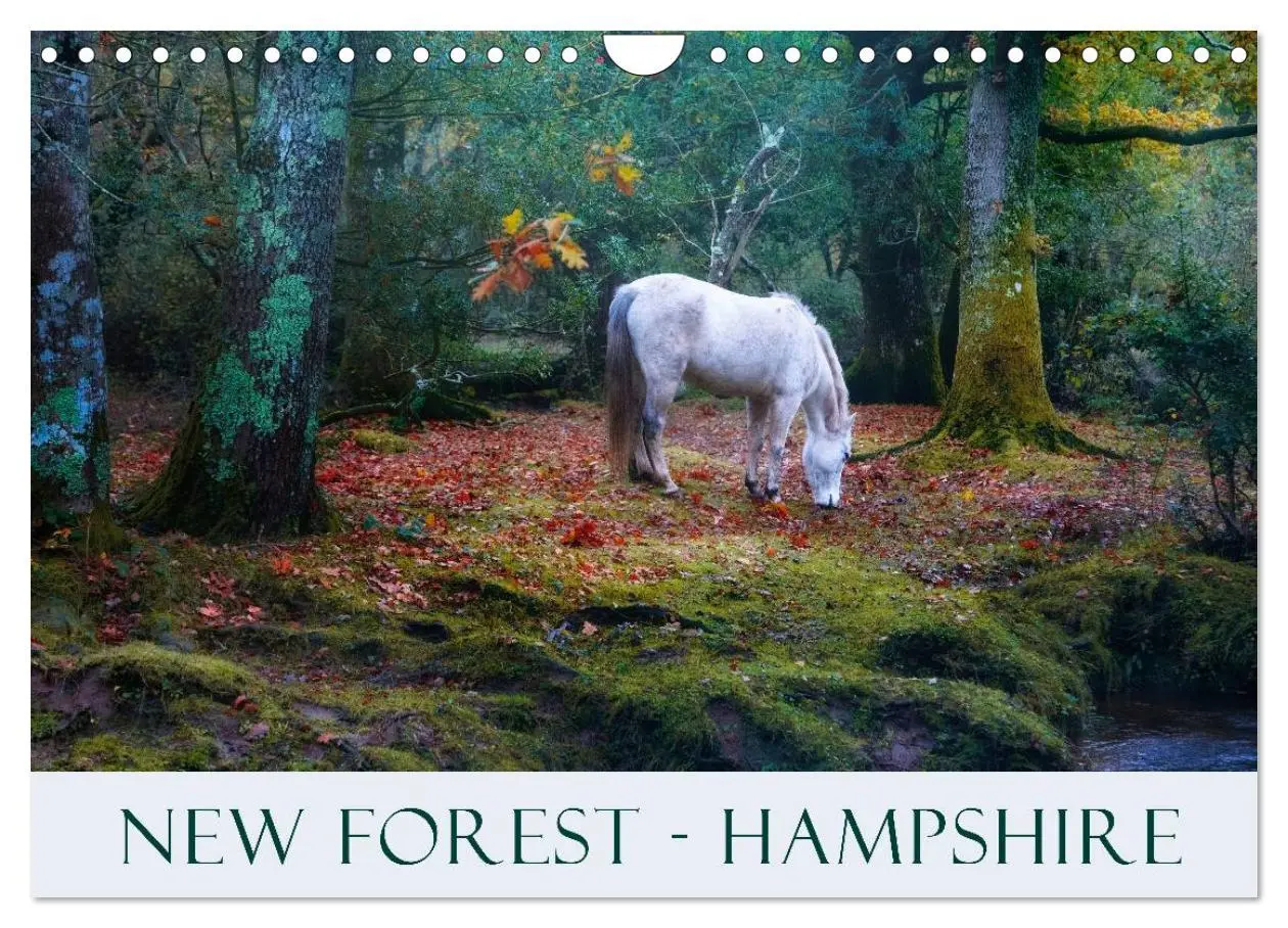 Cover: 9783516569131 | New Forest Hampshire (Wall Calendar 2026 DIN A4 landscape),...