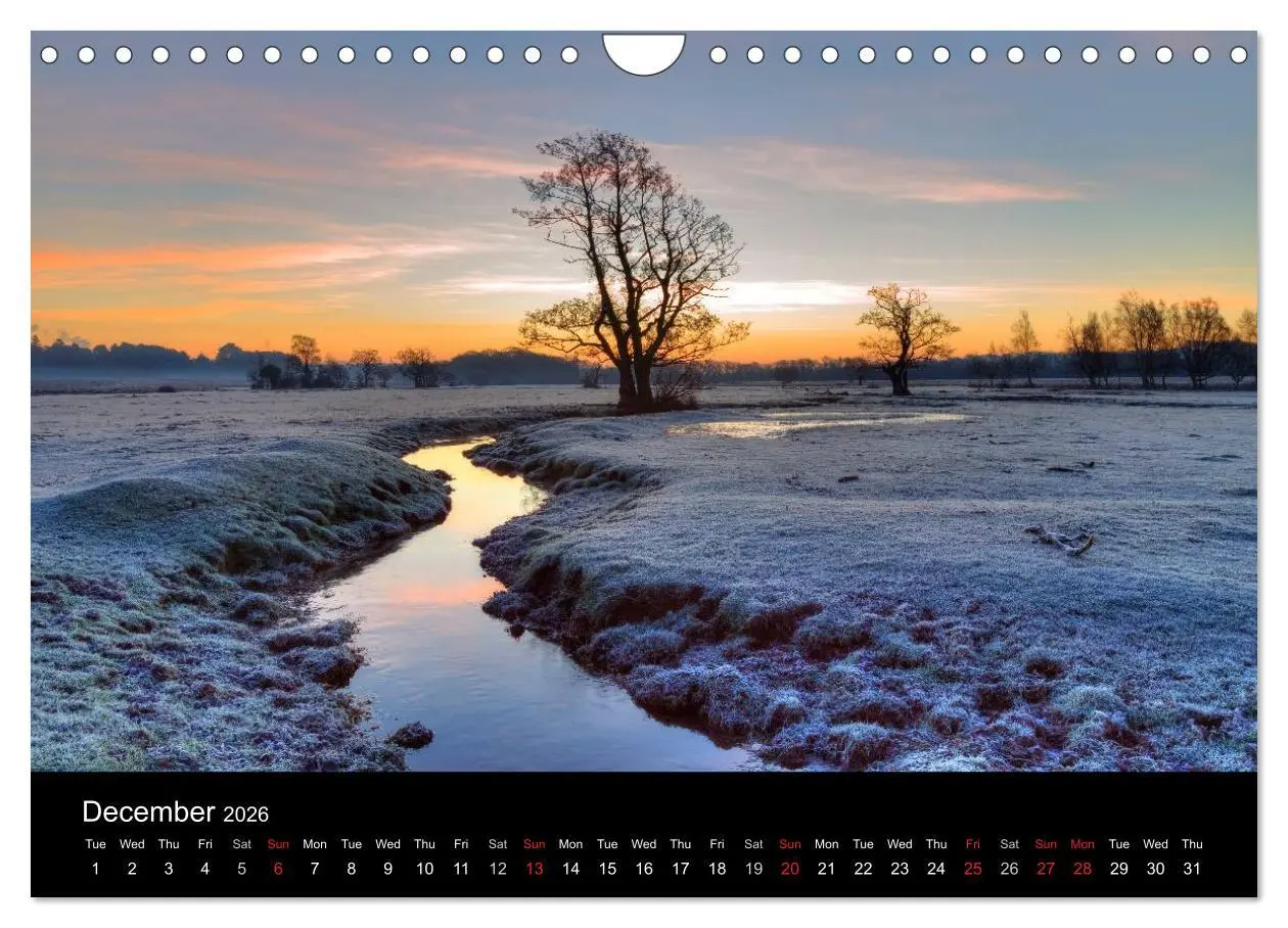 Bild: 9783516569131 | New Forest Hampshire (Wall Calendar 2026 DIN A4 landscape),...