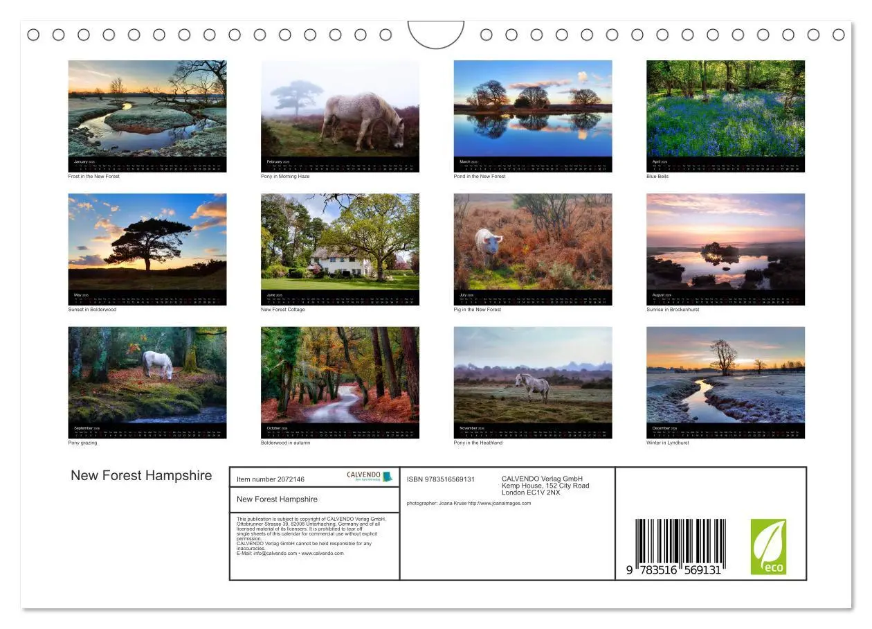 Bild: 9783516569131 | New Forest Hampshire (Wall Calendar 2026 DIN A4 landscape),...