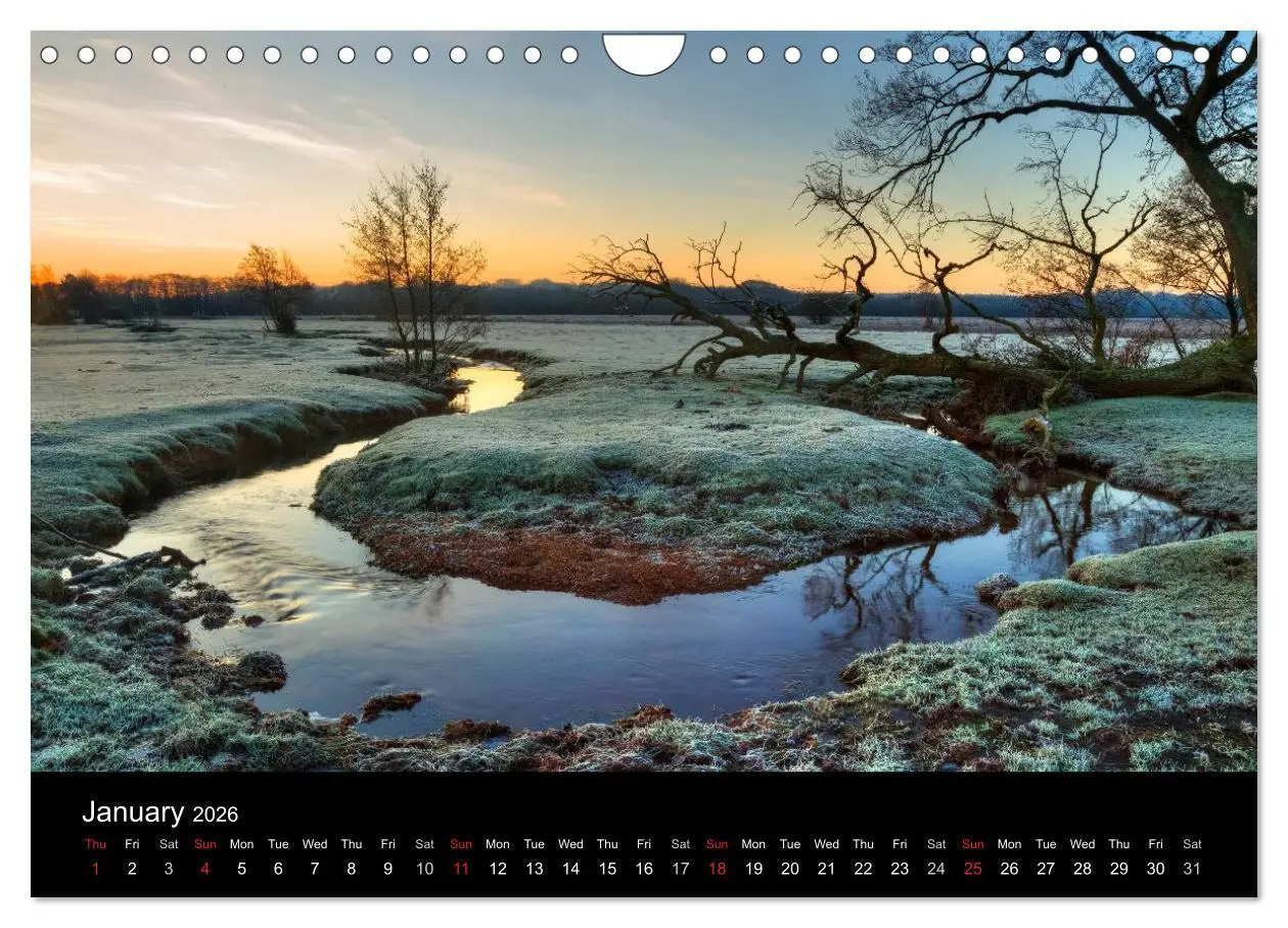 Bild: 9783516569131 | New Forest Hampshire (Wall Calendar 2026 DIN A4 landscape),...