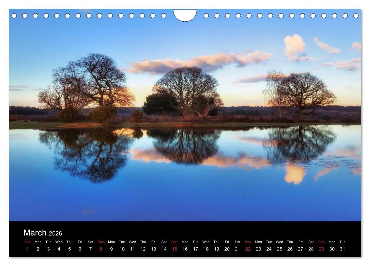 Bild: 9783516569131 | New Forest Hampshire (Wall Calendar 2026 DIN A4 landscape),...