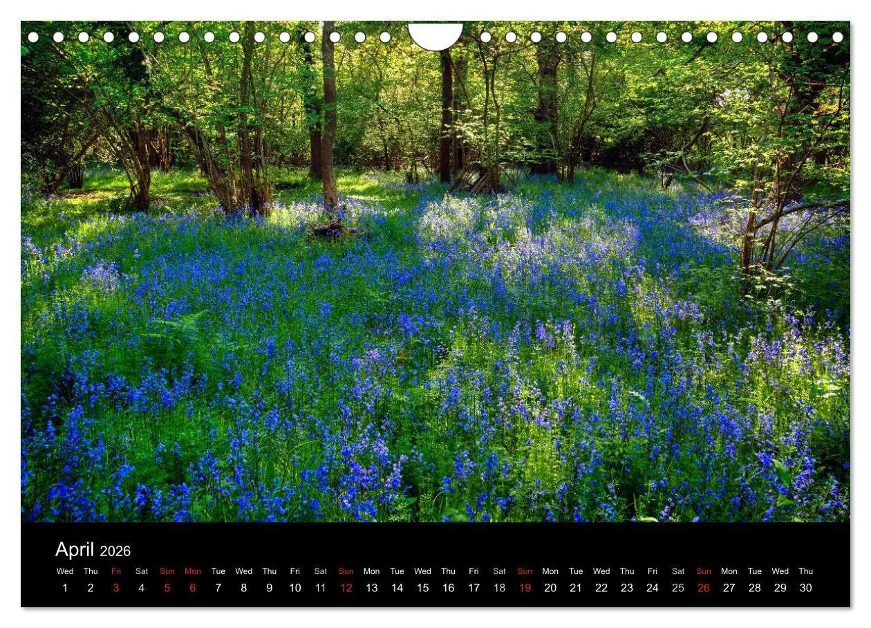 Bild: 9783516569131 | New Forest Hampshire (Wall Calendar 2026 DIN A4 landscape),...