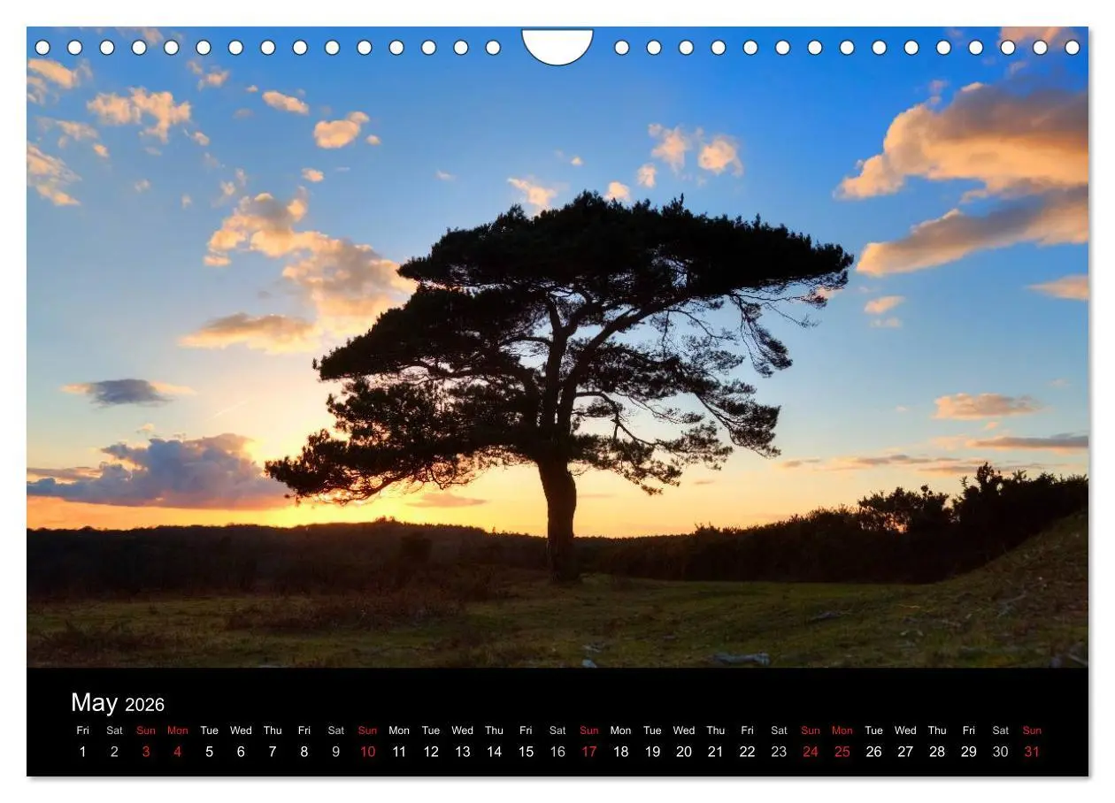 Bild: 9783516569131 | New Forest Hampshire (Wall Calendar 2026 DIN A4 landscape),...