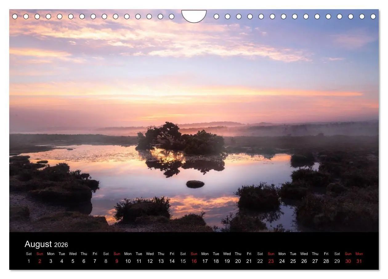 Bild: 9783516569131 | New Forest Hampshire (Wall Calendar 2026 DIN A4 landscape),...