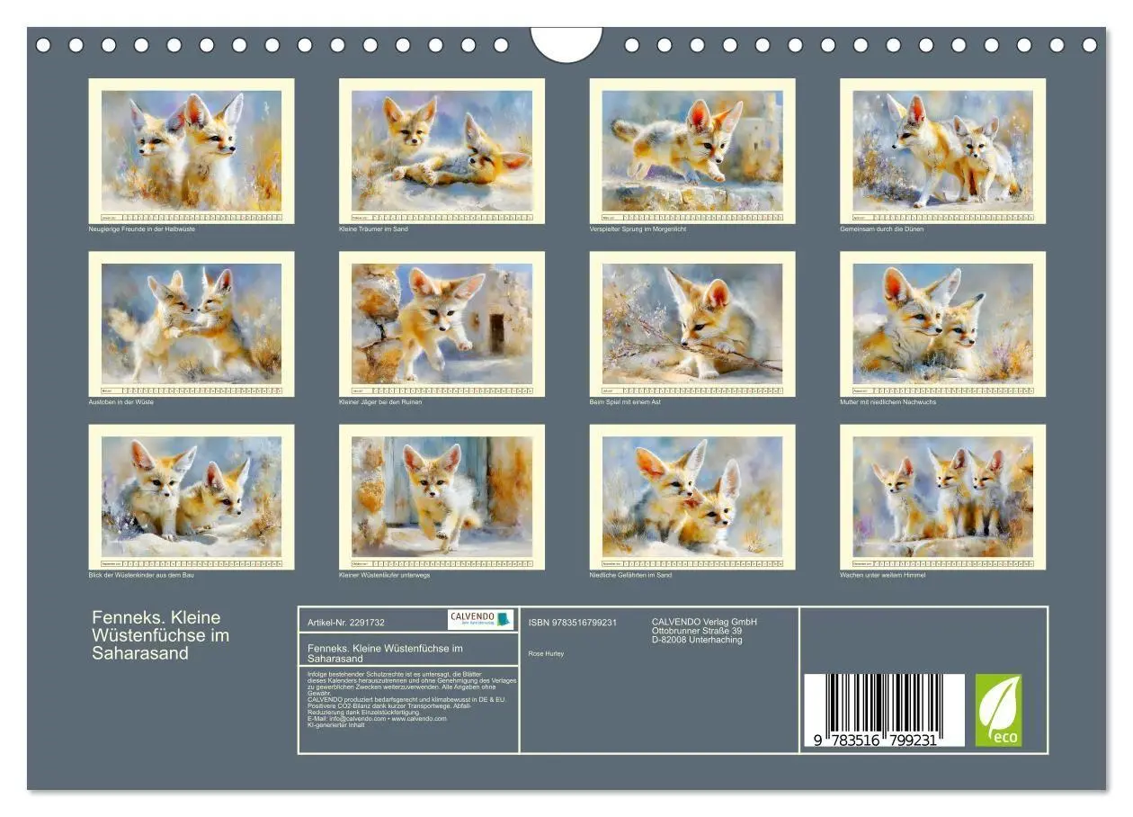 Bild: 9783516799231 | Fenneks. Kleine Wüstenfüchse im Saharasand (Wandkalender 2027 DIN...