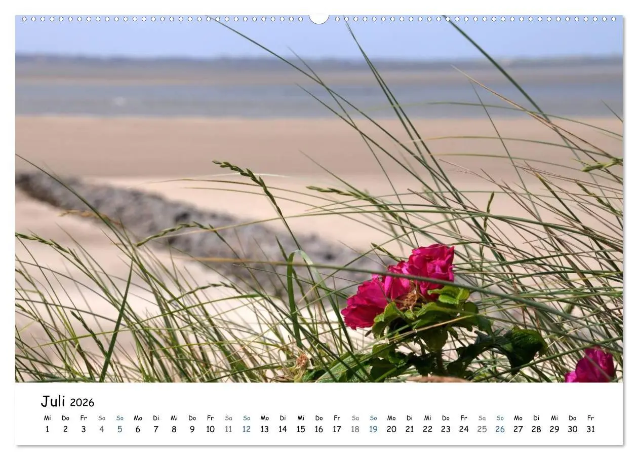 Bild: 9783516159431 | Föhr und Halligwelt 2026 (hochwertiger Premium Wandkalender 2026...