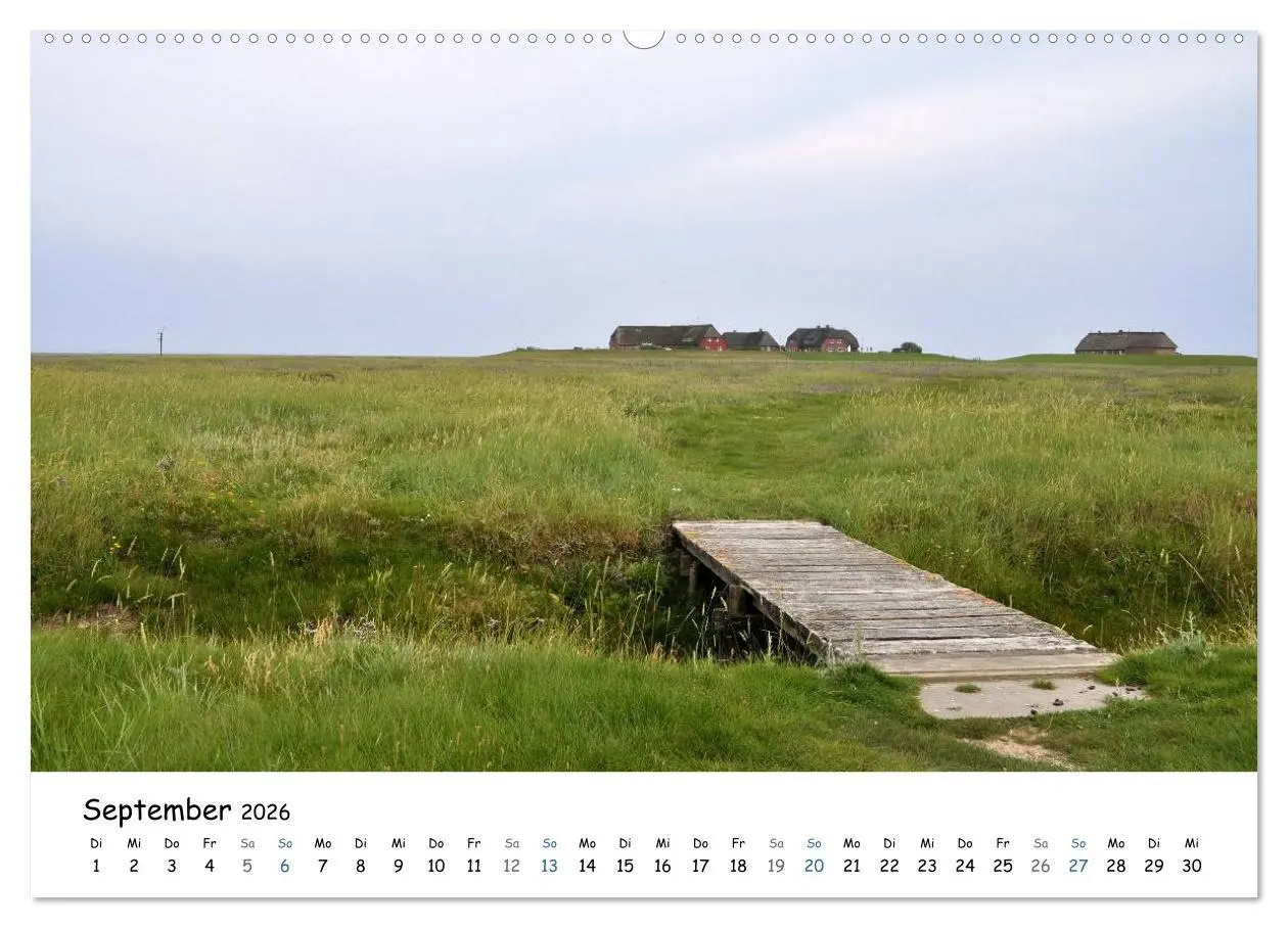 Bild: 9783516159431 | Föhr und Halligwelt 2026 (hochwertiger Premium Wandkalender 2026...
