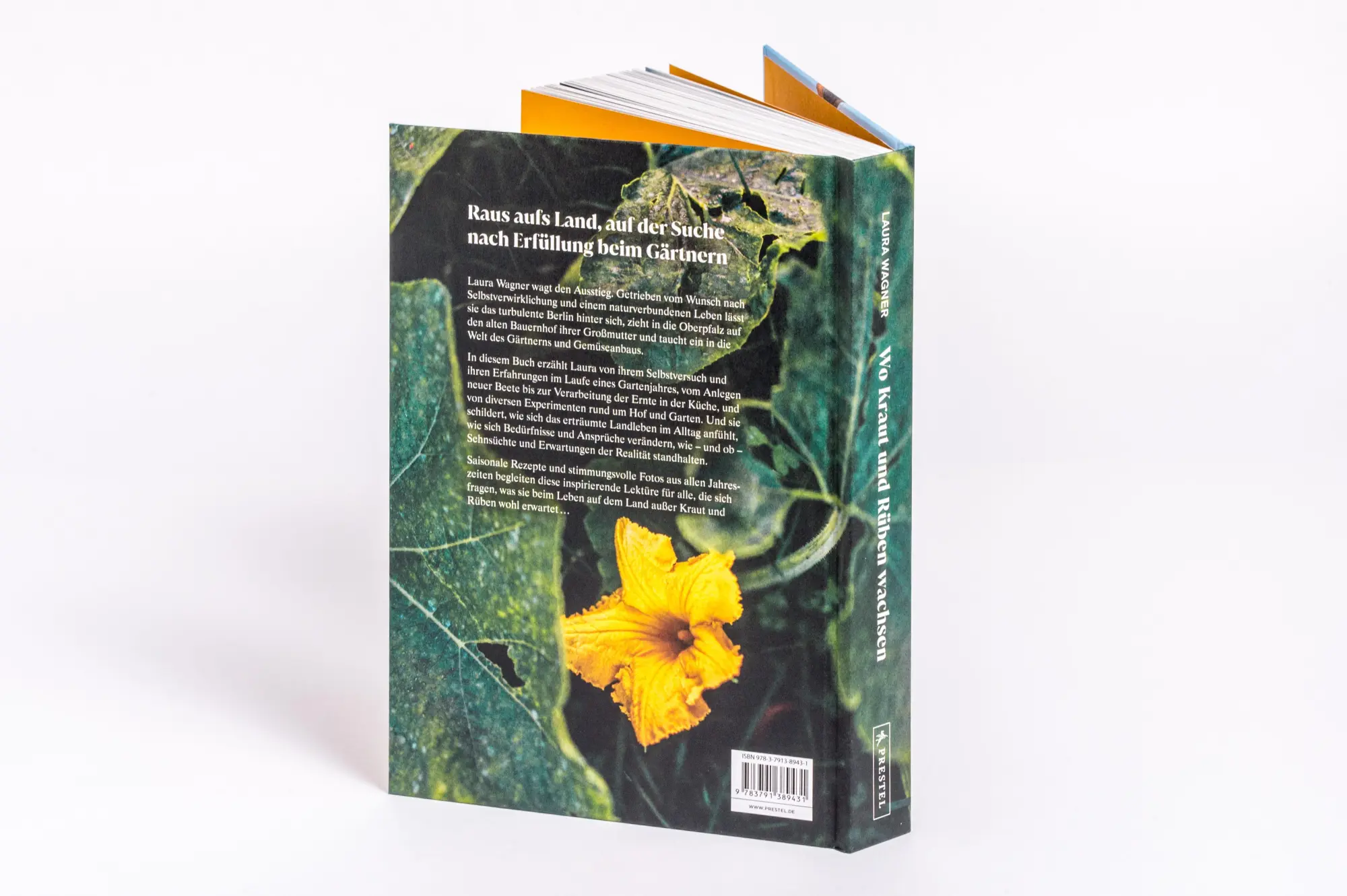 Bild: 9783791389431 | Wo Kraut und Rüben wachsen | Laura Wagner | Buch | 240 S. | Deutsch