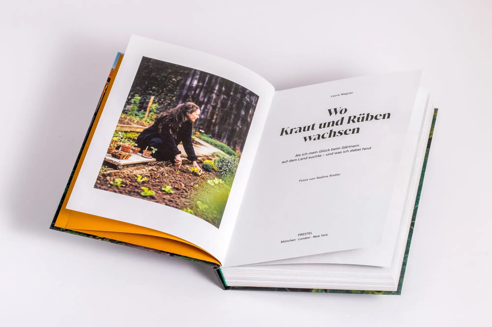 Bild: 9783791389431 | Wo Kraut und Rüben wachsen | Laura Wagner | Buch | 240 S. | Deutsch