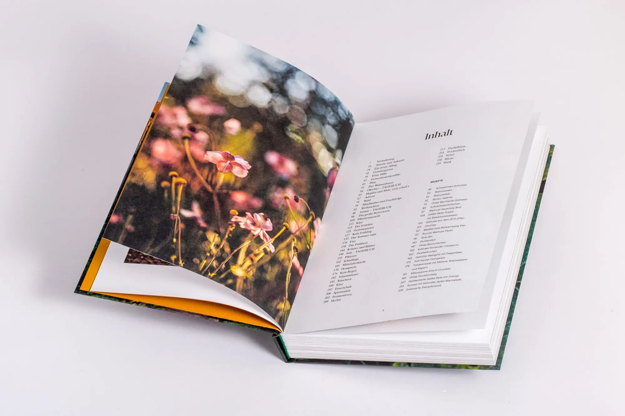 Bild: 9783791389431 | Wo Kraut und Rüben wachsen | Laura Wagner | Buch | 240 S. | Deutsch