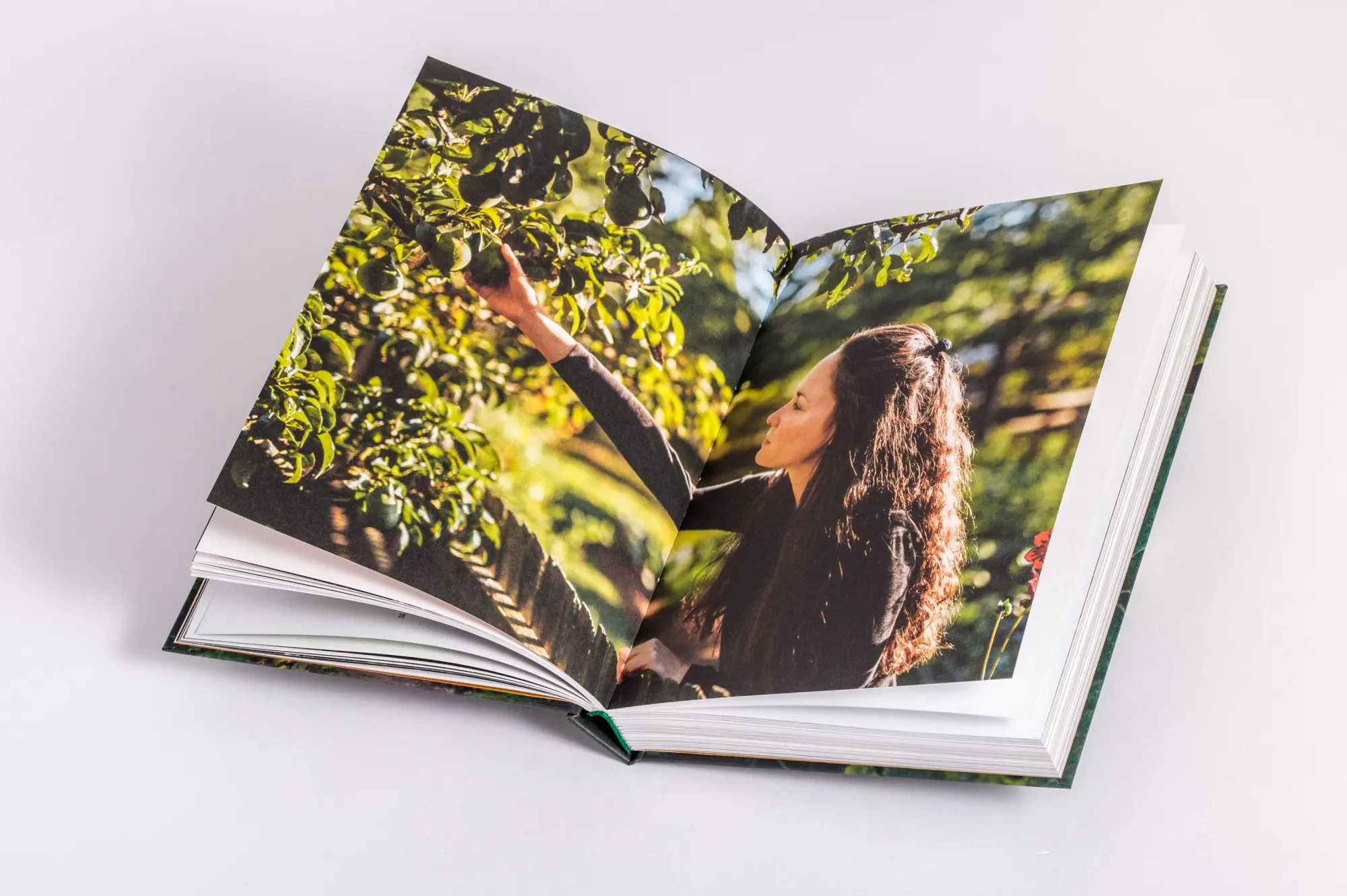 Bild: 9783791389431 | Wo Kraut und Rüben wachsen | Laura Wagner | Buch | 240 S. | Deutsch