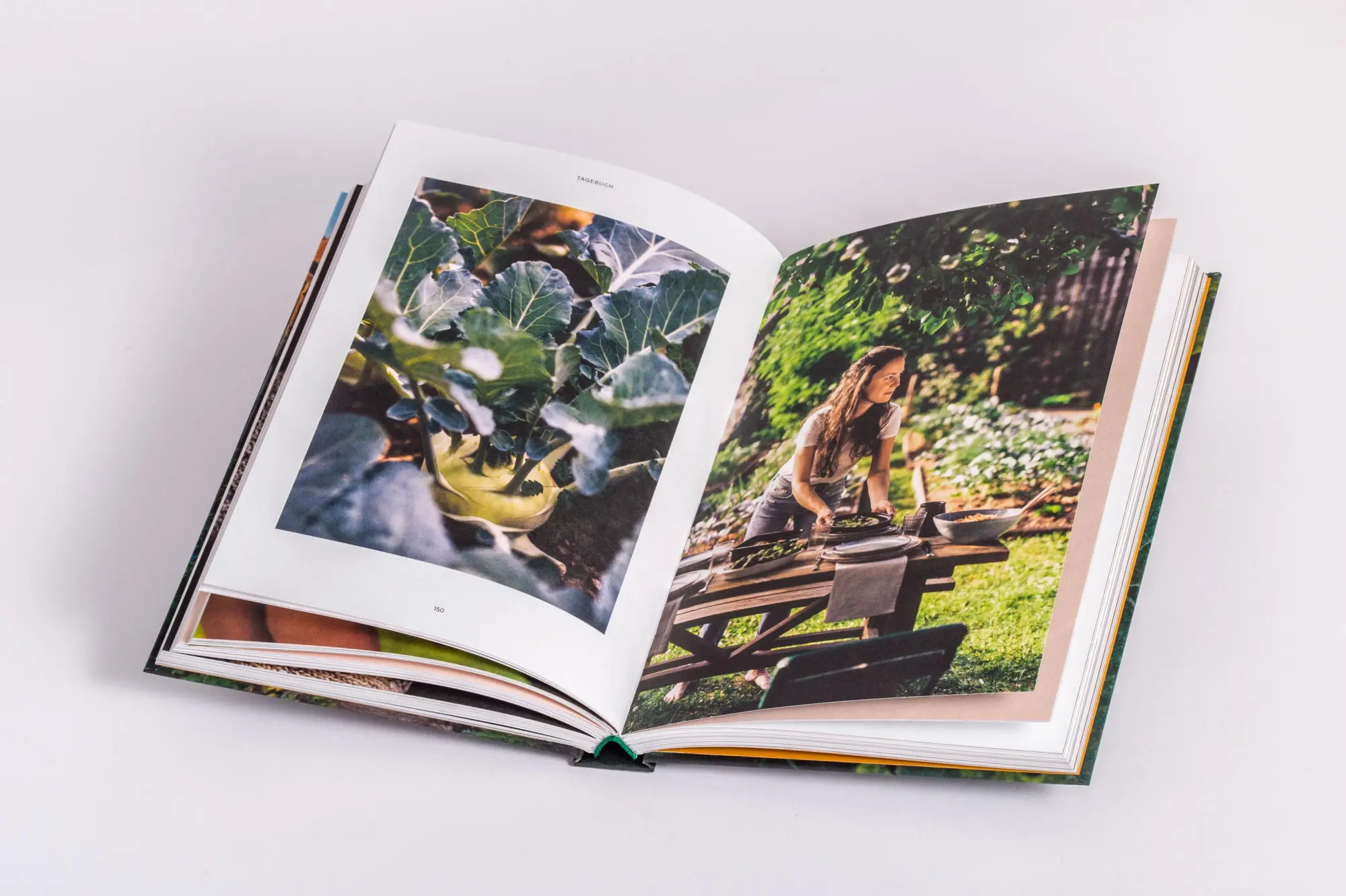 Bild: 9783791389431 | Wo Kraut und Rüben wachsen | Laura Wagner | Buch | 240 S. | Deutsch