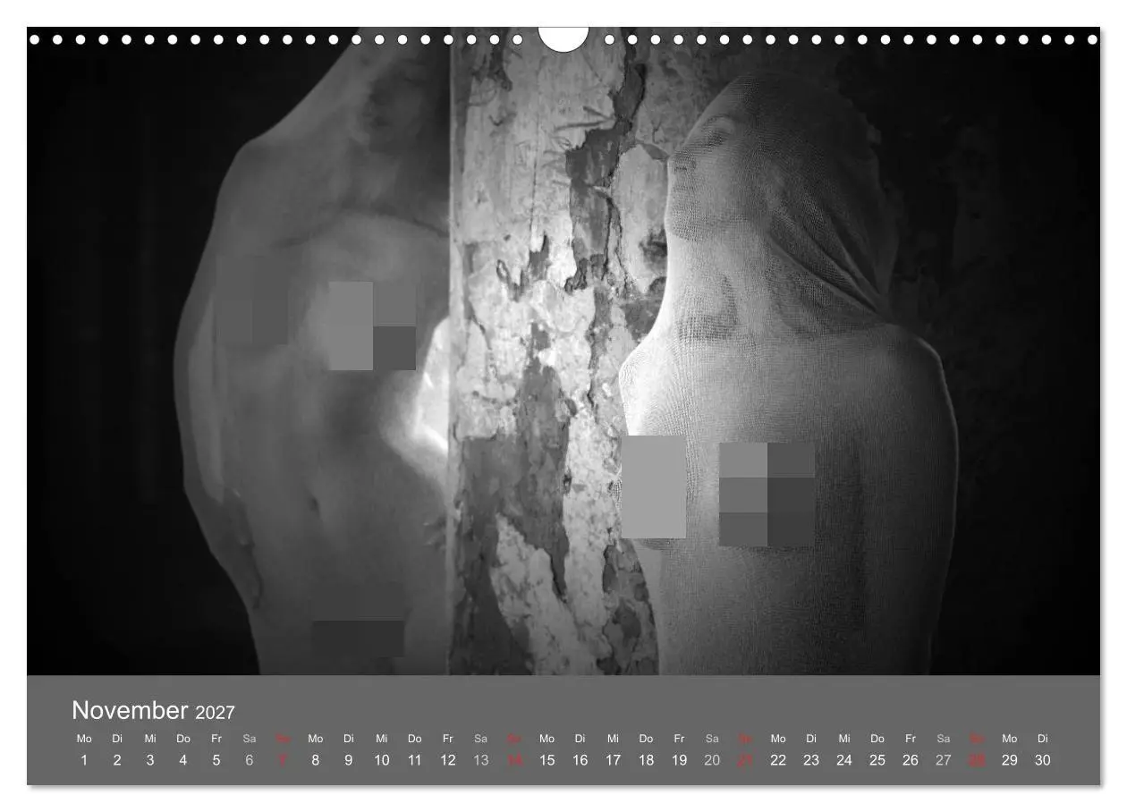 Bild: 9783569929531 | Akt und Visionen (Wandkalender 2027 DIN A3 quer), CALVENDO...