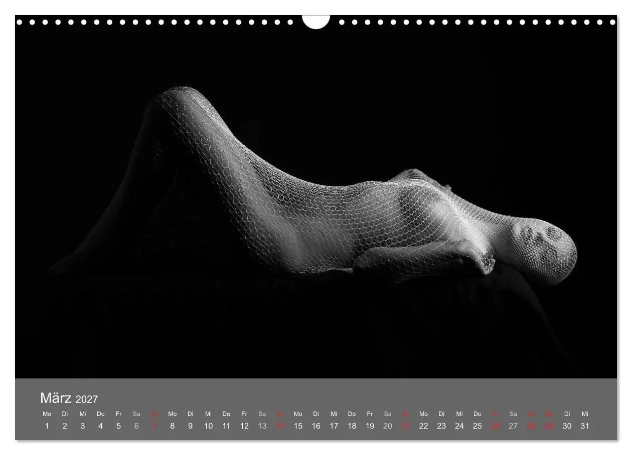 Bild: 9783569929531 | Akt und Visionen (Wandkalender 2027 DIN A3 quer), CALVENDO...