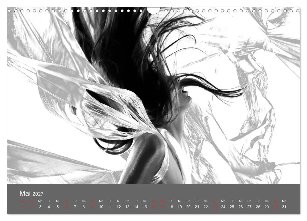 Bild: 9783569929531 | Akt und Visionen (Wandkalender 2027 DIN A3 quer), CALVENDO...