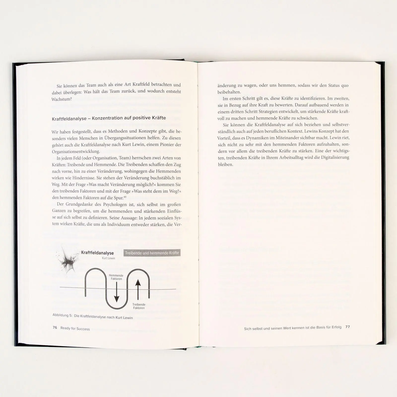 Bild: 9783593519531 | Ready for Success | Sabine Gromer (u. a.) | Buch | 255 S. | Deutsch