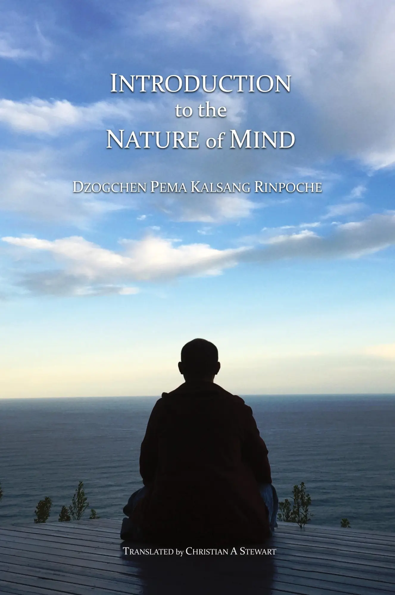 Cover: 9780956859631 | Introduction to the Nature of Mind | Dzogchen Pema Kalsang Rinpoche