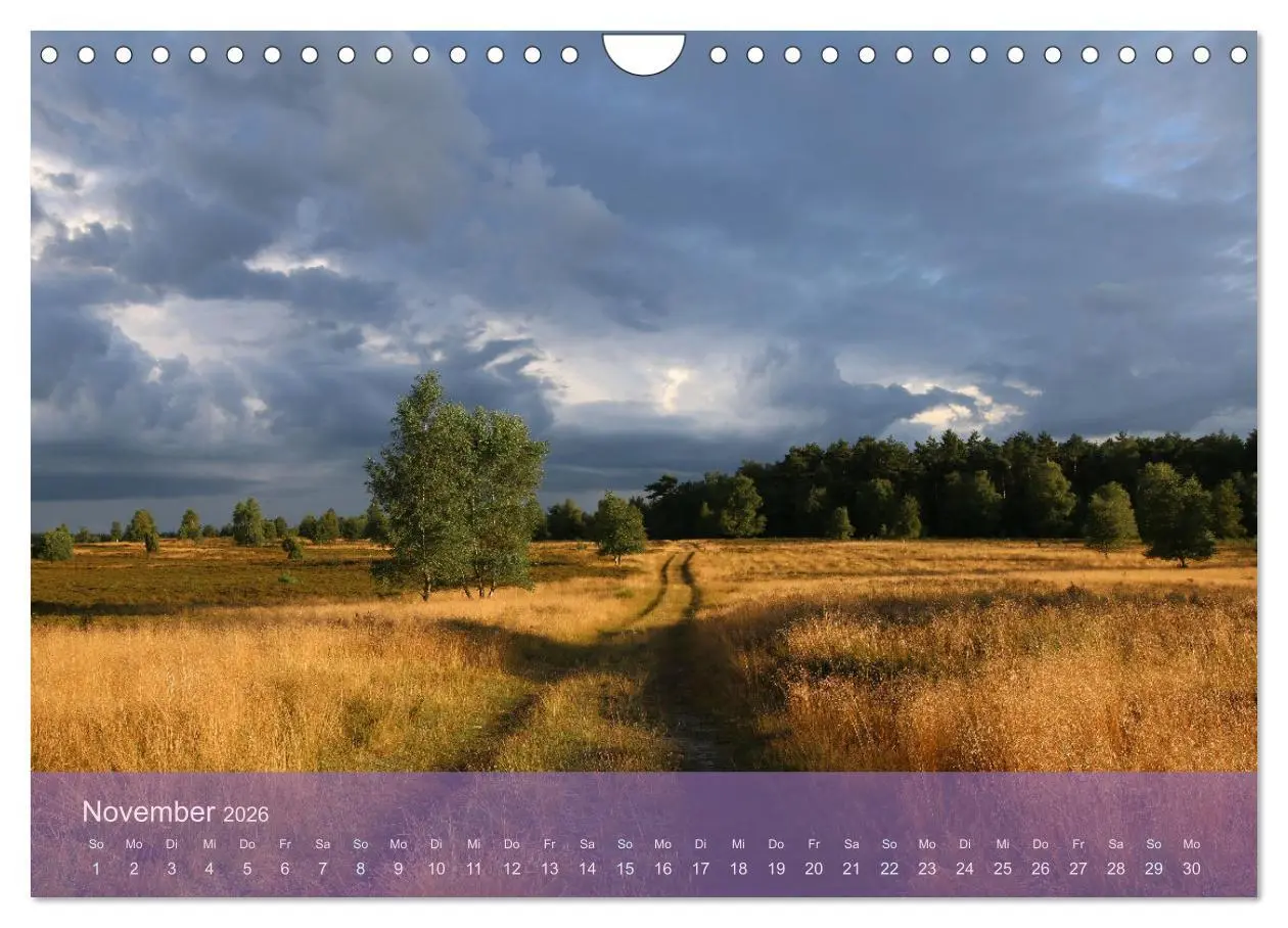 Bild: 9783457599631 | Naturschutzgebiet Lüneburger Heide (Wandkalender 2026 DIN A4 quer),...