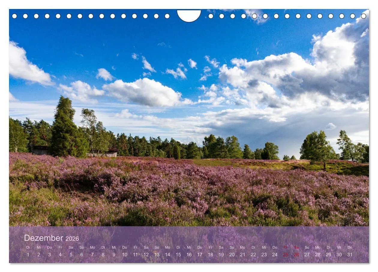 Bild: 9783457599631 | Naturschutzgebiet Lüneburger Heide (Wandkalender 2026 DIN A4 quer),...