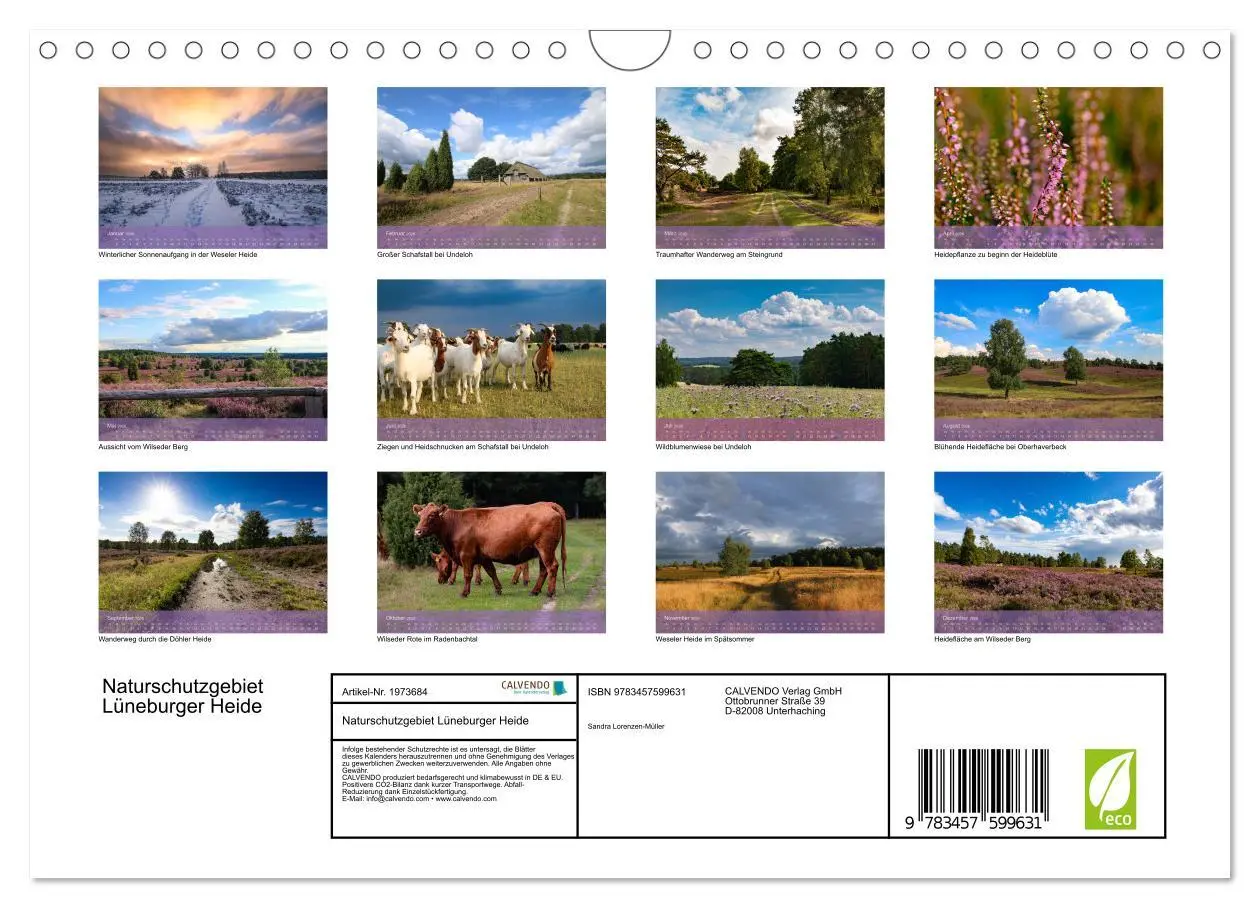 Bild: 9783457599631 | Naturschutzgebiet Lüneburger Heide (Wandkalender 2026 DIN A4 quer),...