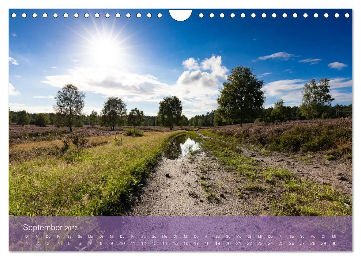 Bild: 9783457599631 | Naturschutzgebiet Lüneburger Heide (Wandkalender 2026 DIN A4 quer),...