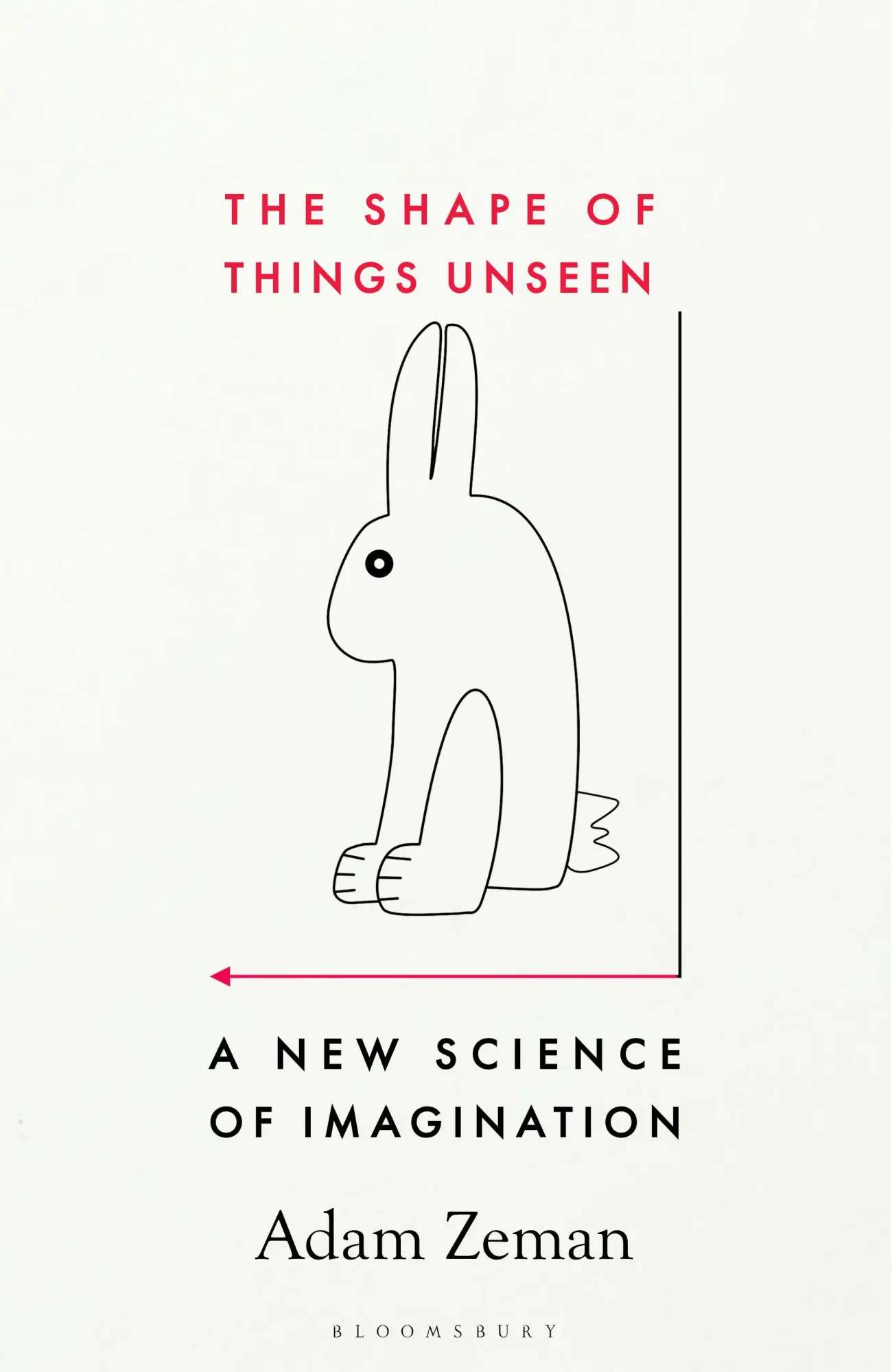 Cover: 9781526609731 | The Shape of Things Unseen | A New Science of Imagination | Adam Zeman