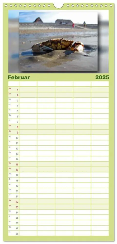 Bild: 9783457109731 | Familienplaner 2025 - Baltrum - Ein Tag am Strand mit 5 Spalten...