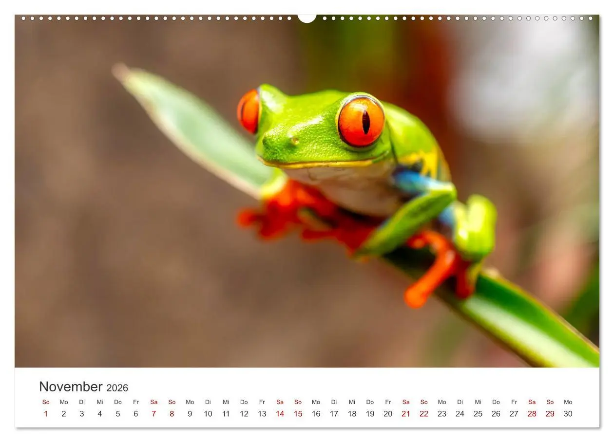Bild: 9783457419731 | Nicaragua - Impressionen von Land und Tierwelt. (hochwertiger...