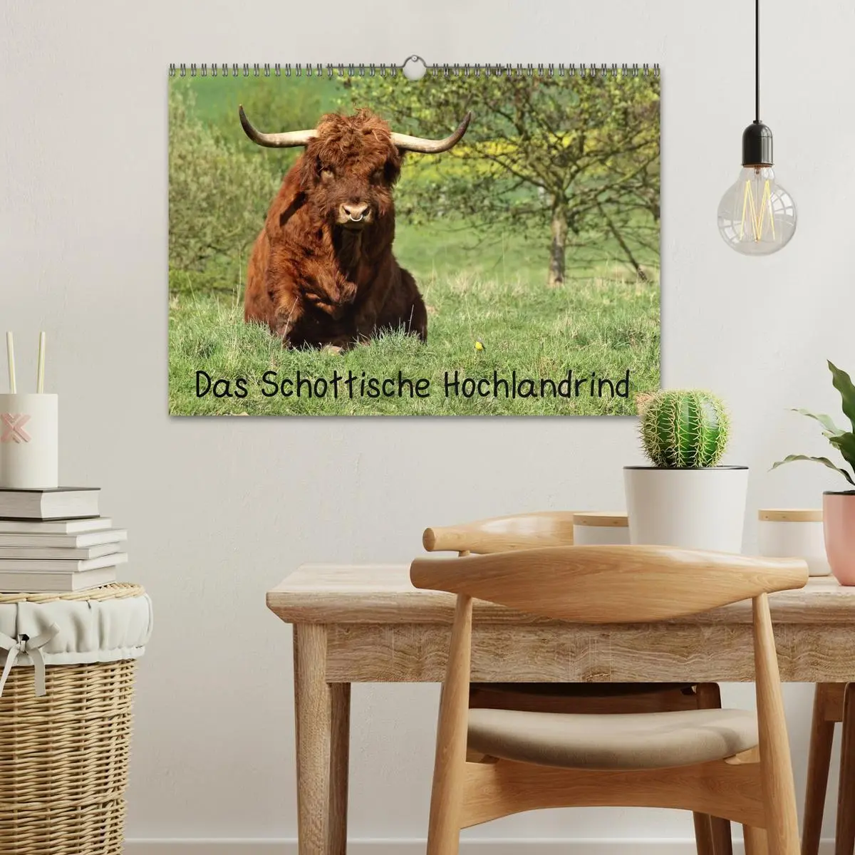 Bild: 9783457969731 | Das Schottische Hochlandrind (Wandkalender 2026 DIN A3 quer),...