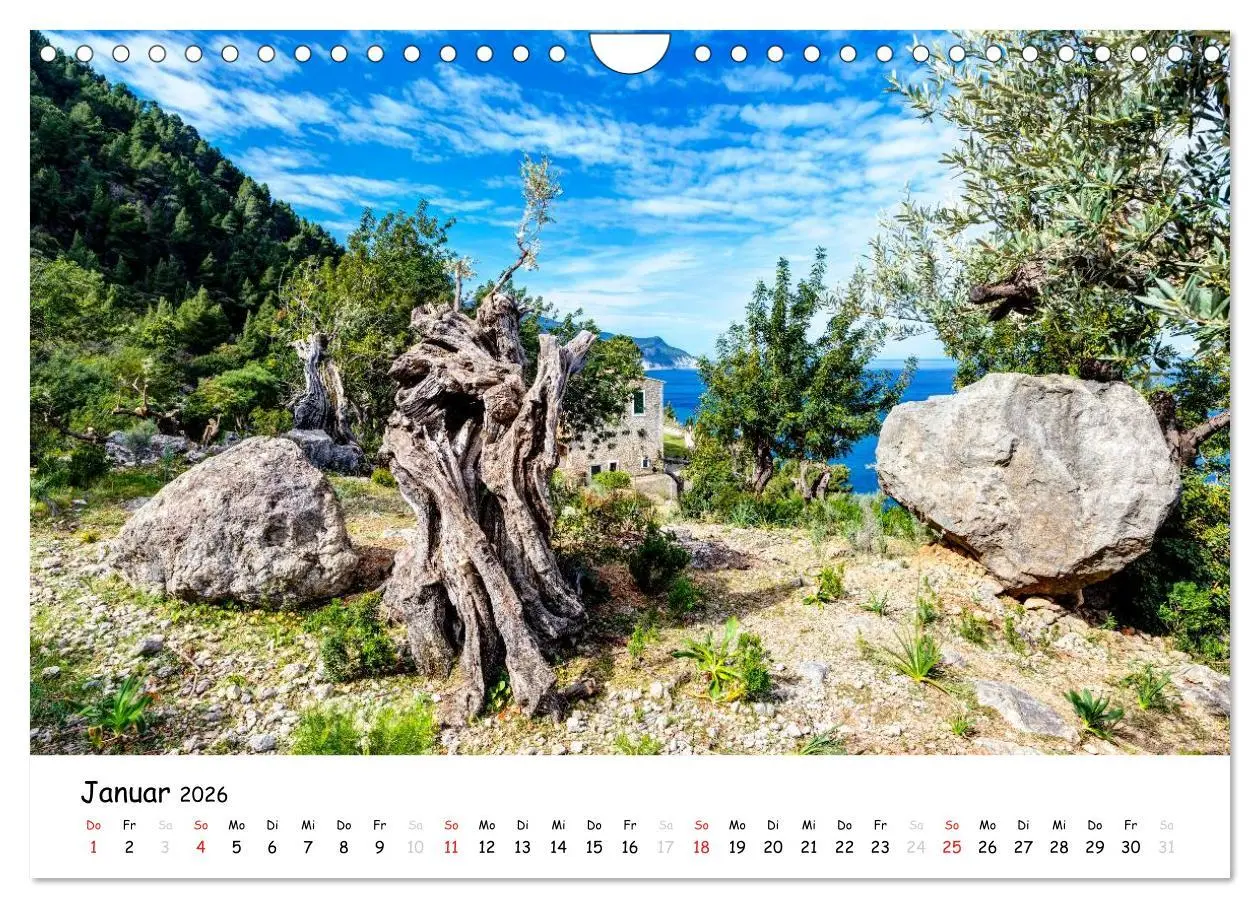 Bild: 9783516059731 | Wildes und romantisches Mallorca (Wandkalender 2026 DIN A4 quer),...