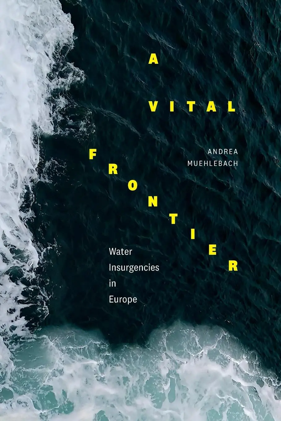 Cover: 9781478019831 | A Vital Frontier | Water Insurgencies in Europe | Andrea Muehlebach