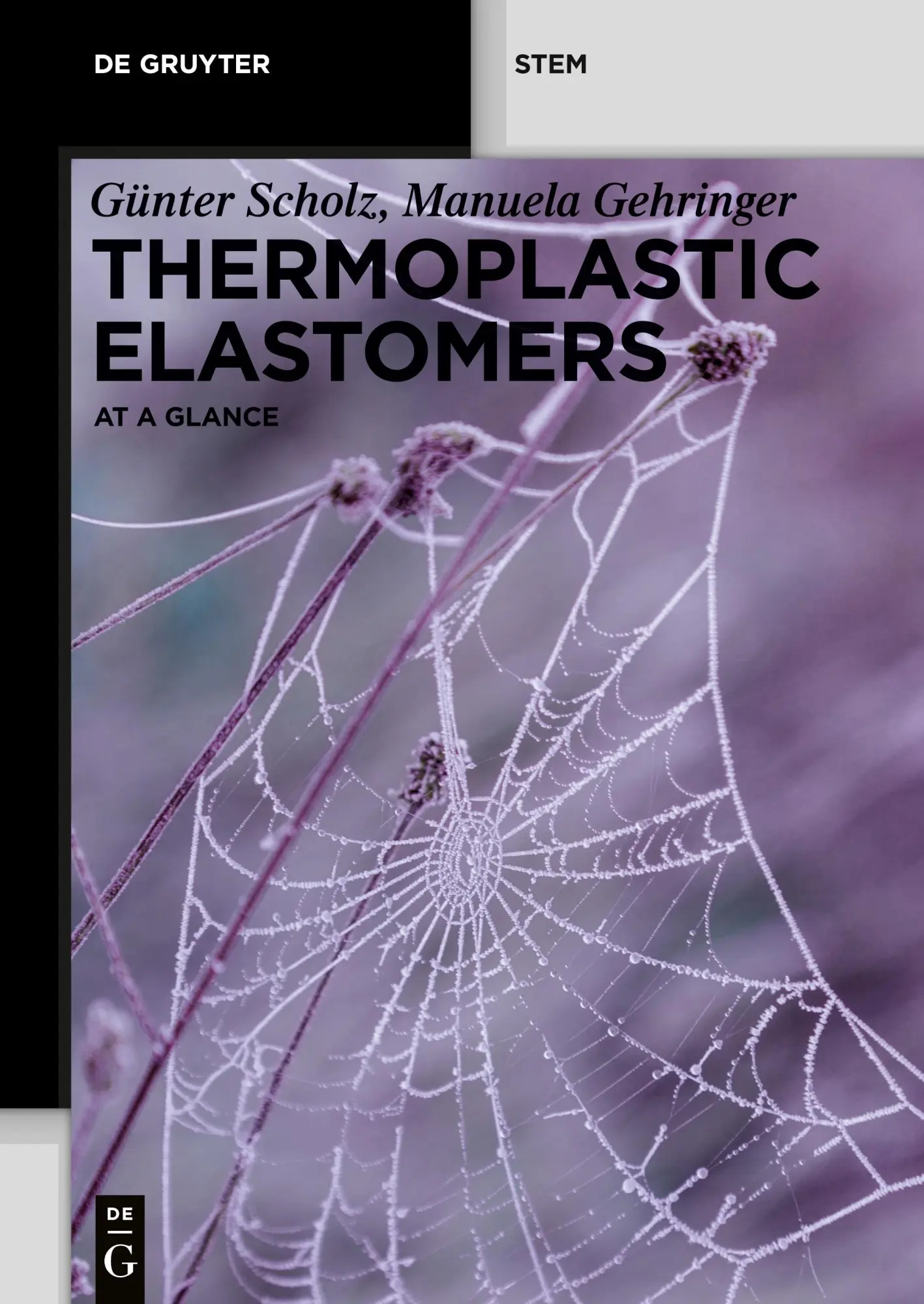 Cover: 9783110739831 | Thermoplastic Elastomers | At a Glance | Manuela Gehringer (u. a.)