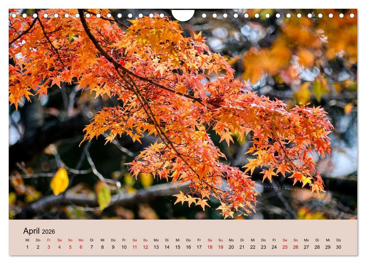 Bild: 9783457269831 | Japan im Herbst (Wandkalender 2026 DIN A4 quer), CALVENDO...