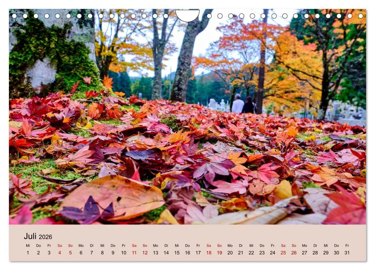 Bild: 9783457269831 | Japan im Herbst (Wandkalender 2026 DIN A4 quer), CALVENDO...
