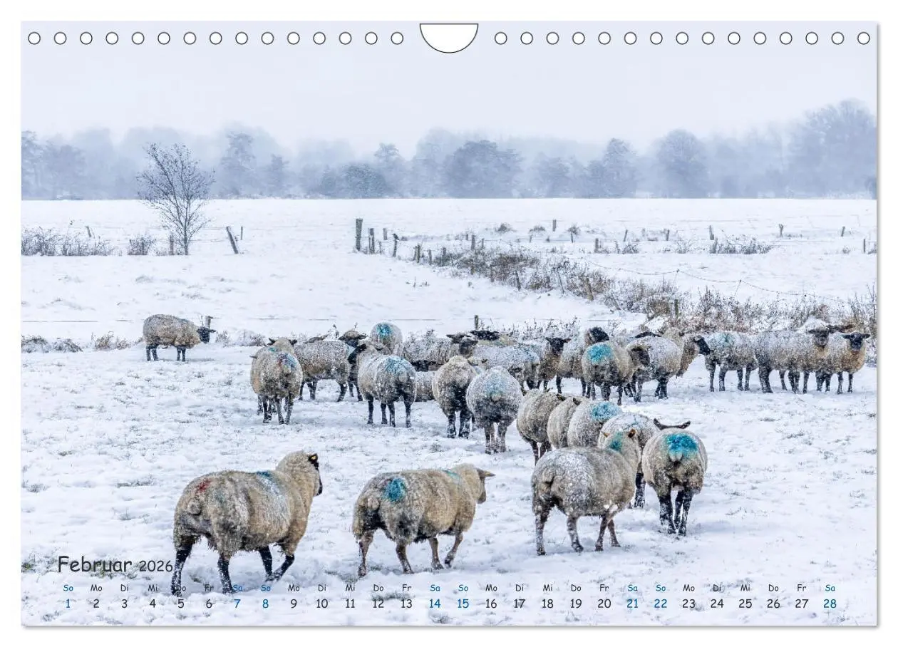 Bild: 9783457339831 | Westküste - Zwischen St. Peter Ording, Büsum und Elbe (Wandkalender...