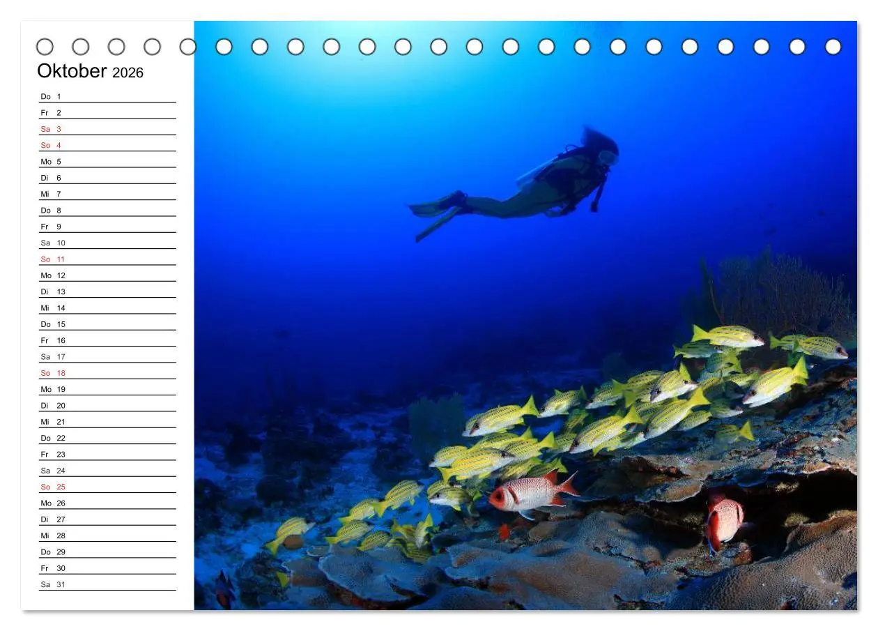 Bild: 9783516119831 | Tauchen - Abenteuer in Neptuns Wunderwelt (Tischkalender 2026 DIN...