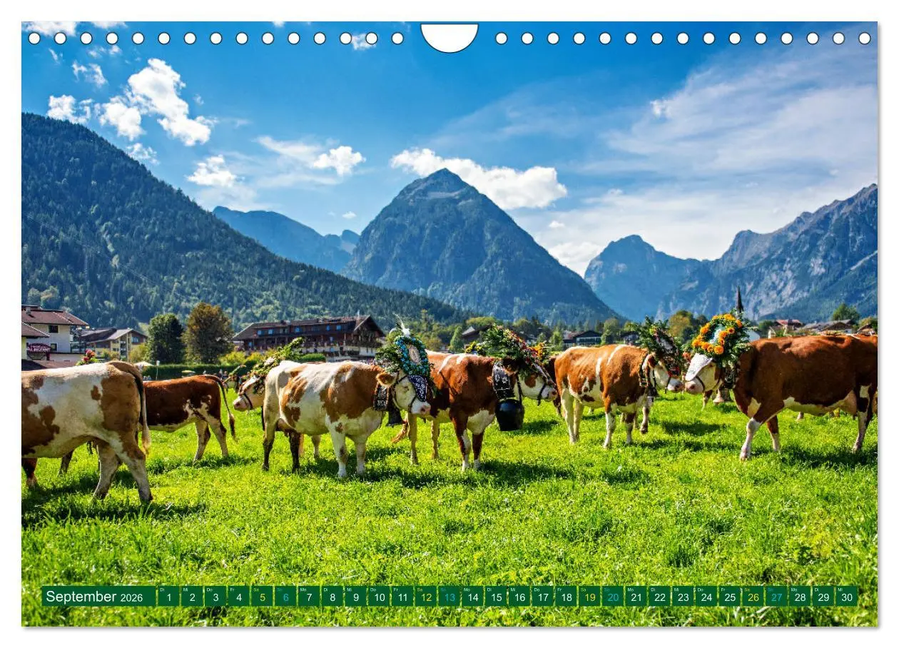 Bild: 9783457329931 | Und ewig lockt der Achensee - Tirol (Wandkalender 2026 DIN A4...