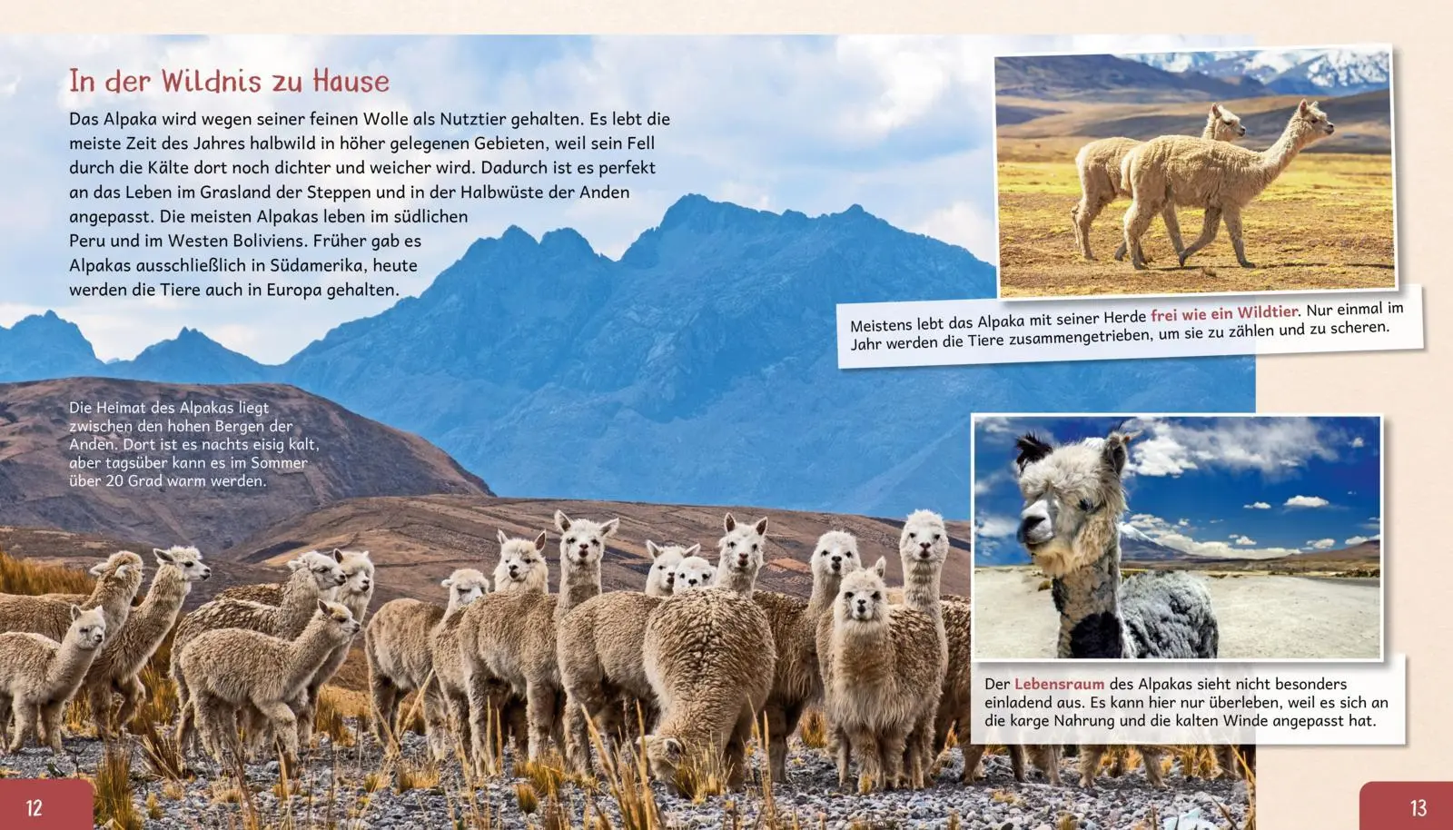 Bild: 9783480239931 | Meine große Tierbibliothek: Das Alpaka | Jens Poschadel | Buch | 32 S.