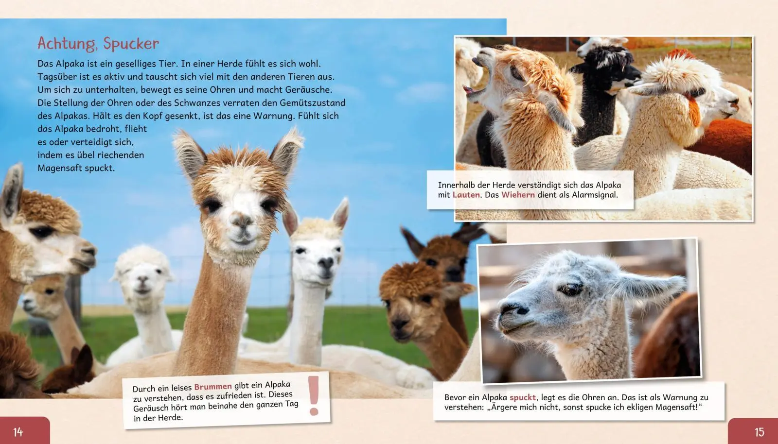 Bild: 9783480239931 | Meine große Tierbibliothek: Das Alpaka | Jens Poschadel | Buch | 32 S.